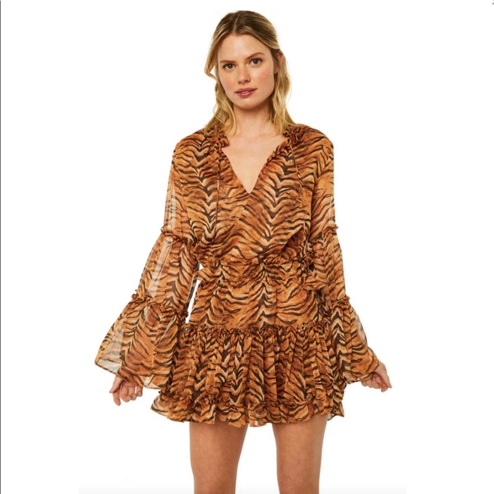 Auburn Tigers Game Day Dress